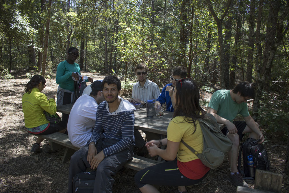 Picture of 160430 Castle Rock Hike